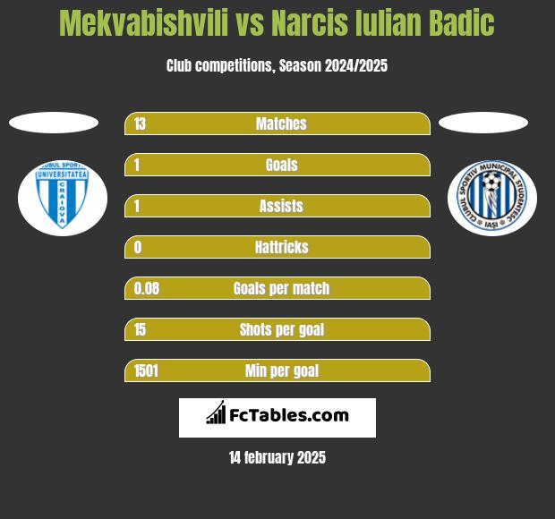 Mekvabishvili vs Narcis Iulian Badic h2h player stats