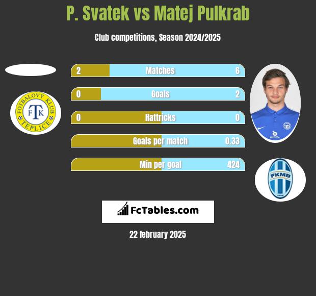 P. Svatek vs Matej Pulkrab h2h player stats