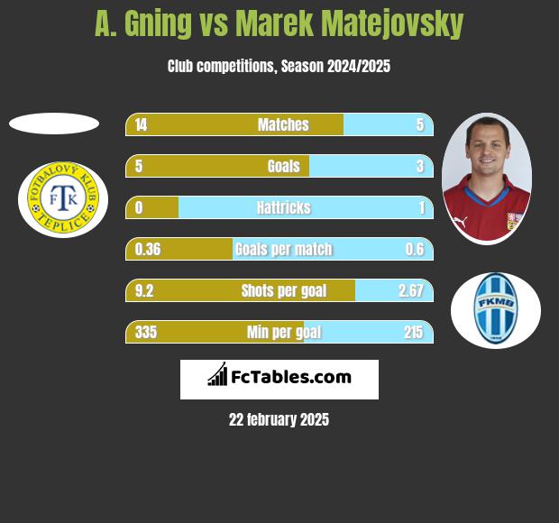 A. Gning vs Marek Matejovsky h2h player stats