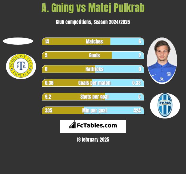 A. Gning vs Matej Pulkrab h2h player stats