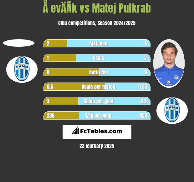 Å evÄÃ­k vs Matej Pulkrab h2h player stats