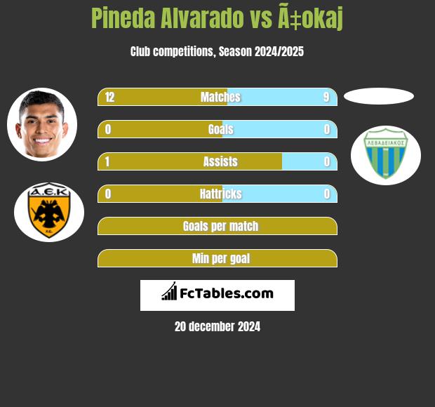 Pineda Alvarado vs Ã‡okaj h2h player stats