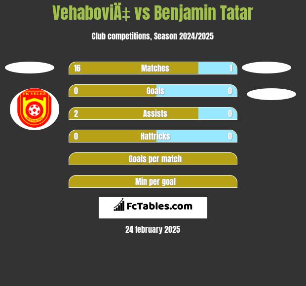 VehaboviÄ‡ vs Benjamin Tatar h2h player stats