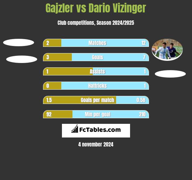 Gajzler vs Dario Vizinger h2h player stats