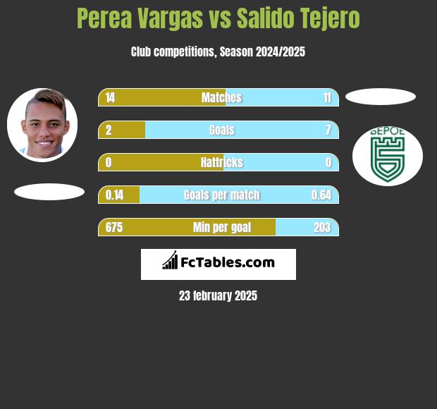 Perea Vargas vs Salido Tejero h2h player stats