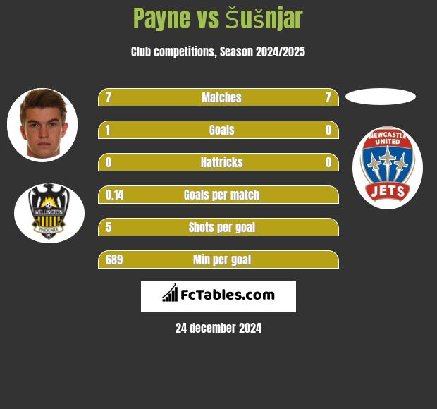 Payne vs Šušnjar h2h player stats