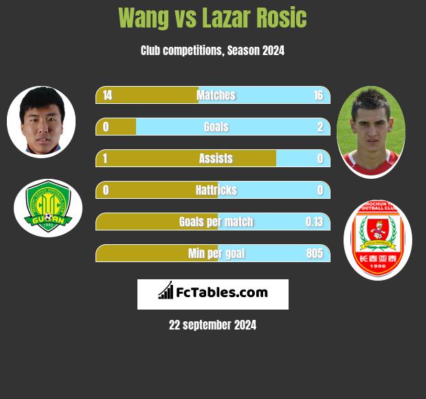 Wang vs Lazar Rosic h2h player stats