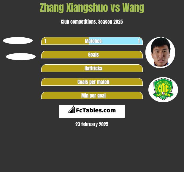 Zhang Xiangshuo vs Wang h2h player stats