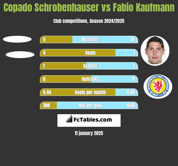 Copado Schrobenhauser vs Fabio Kaufmann h2h player stats