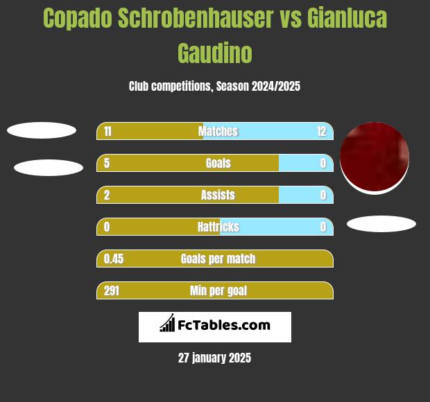 Copado Schrobenhauser vs Gianluca Gaudino h2h player stats