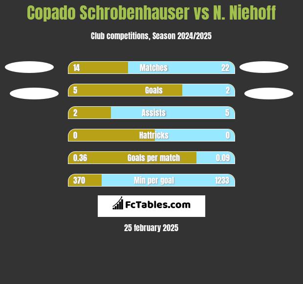 Copado Schrobenhauser vs N. Niehoff h2h player stats