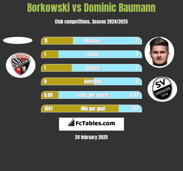 Borkowski vs Dominic Baumann h2h player stats