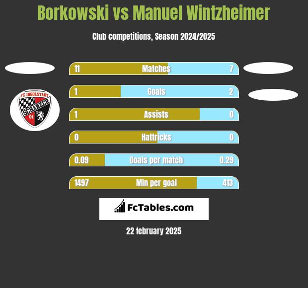 Borkowski vs Manuel Wintzheimer h2h player stats