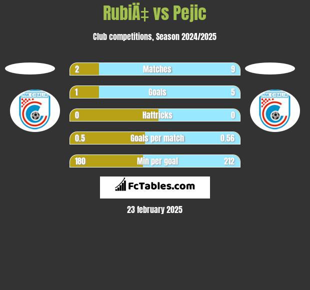 RubiÄ‡ vs Pejic h2h player stats