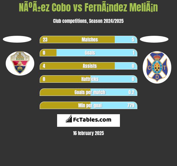 NÃºÃ±ez Cobo vs FernÃ¡ndez MeliÃ¡n h2h player stats