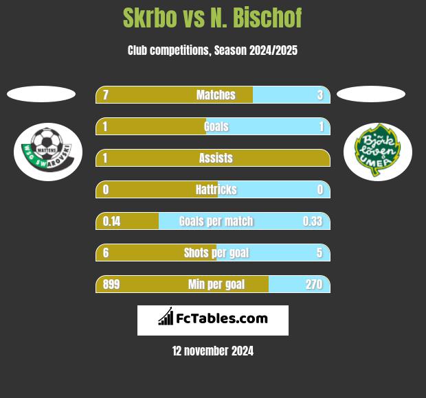 Skrbo vs N. Bischof h2h player stats