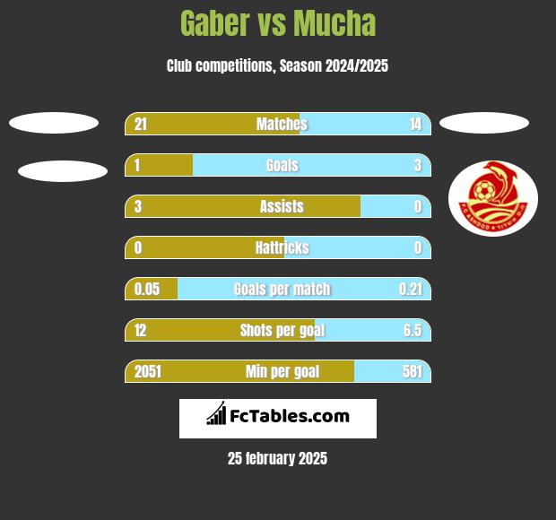 Gaber vs Mucha h2h player stats