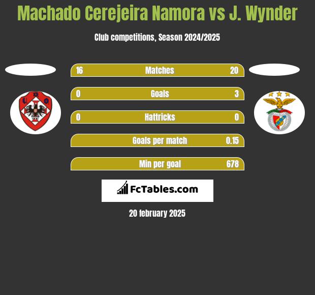 Machado Cerejeira Namora vs J. Wynder h2h player stats