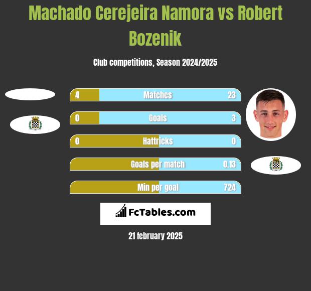 Machado Cerejeira Namora vs Robert Bozenik h2h player stats