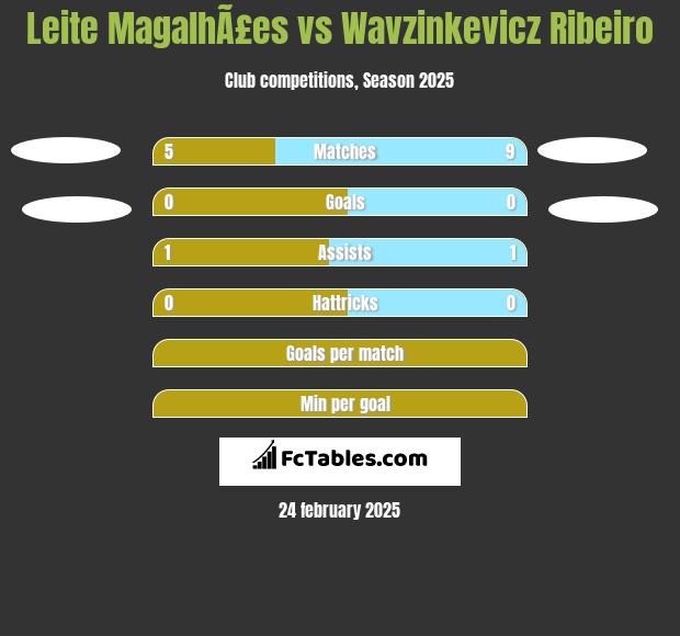 Leite MagalhÃ£es vs Wavzinkevicz Ribeiro h2h player stats