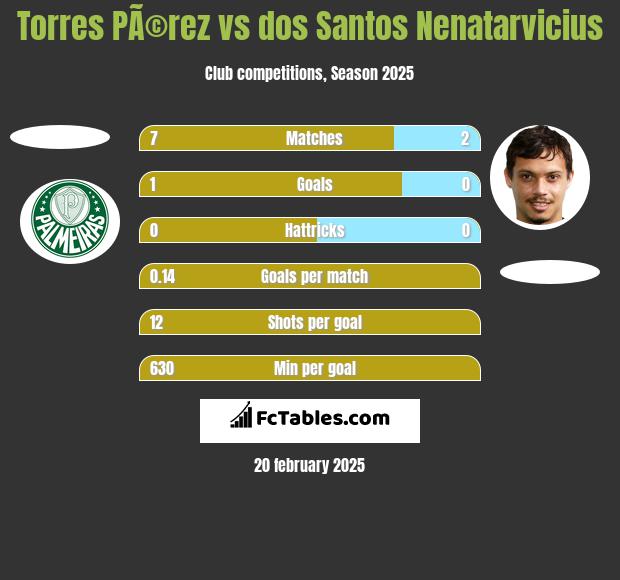 Torres PÃ©rez vs dos Santos Nenatarvicius h2h player stats