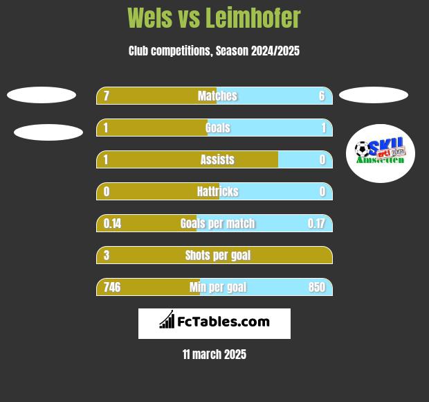 Wels vs Leimhofer h2h player stats