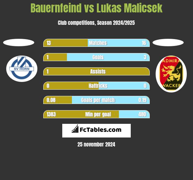 Bauernfeind vs Lukas Malicsek h2h player stats