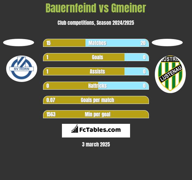 Bauernfeind vs Gmeiner h2h player stats