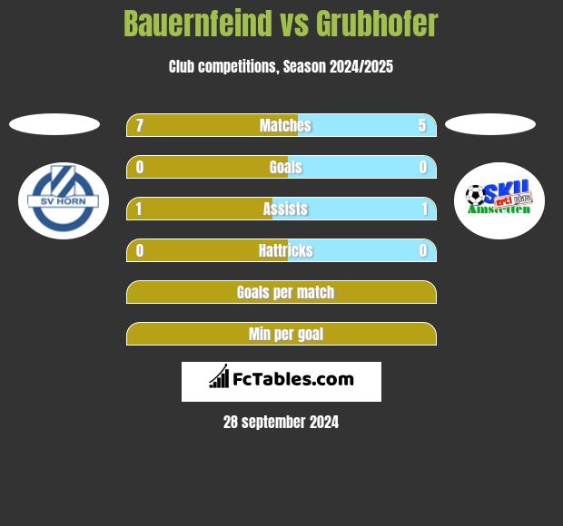 Bauernfeind vs Grubhofer h2h player stats