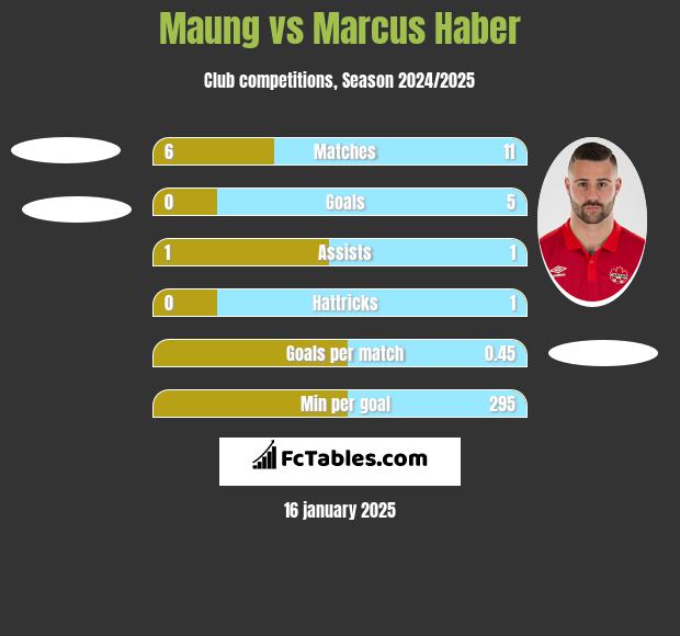 Maung vs Marcus Haber h2h player stats