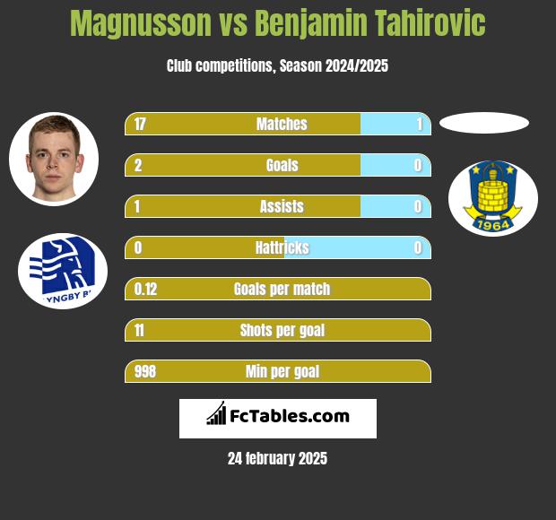 Magnusson vs Benjamin Tahirovic h2h player stats