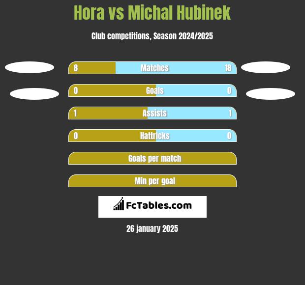 Hora vs Michal Hubinek h2h player stats