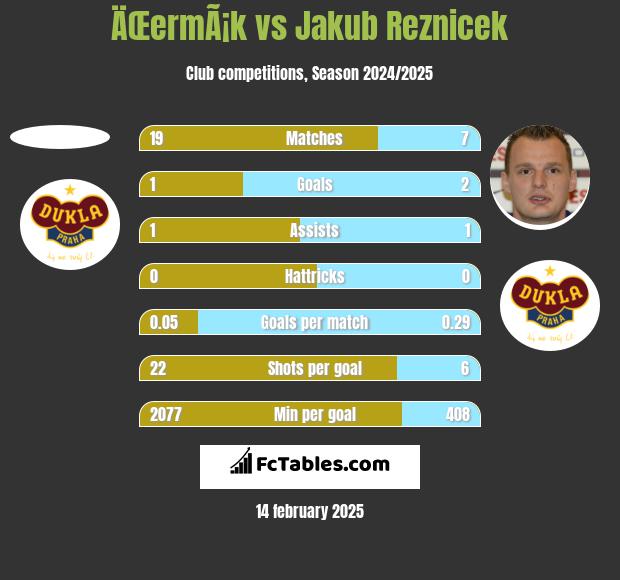 ÄŒermÃ¡k vs Jakub Reznicek h2h player stats