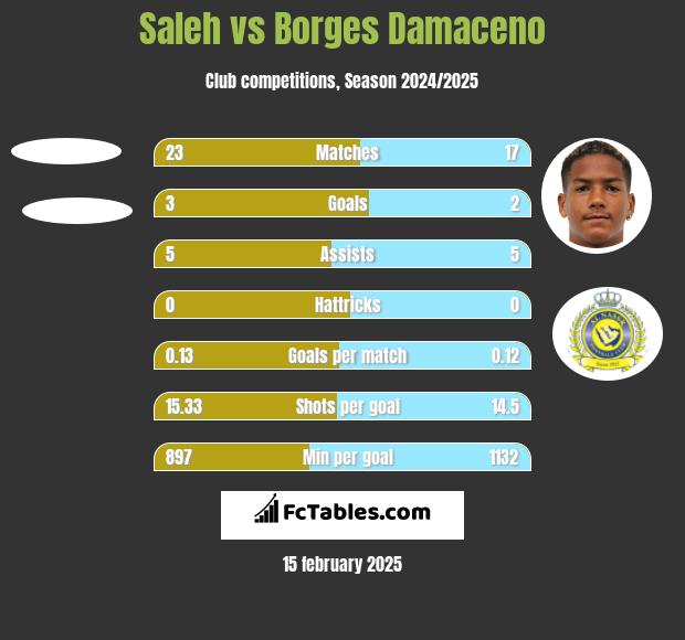 Saleh vs Borges Damaceno h2h player stats