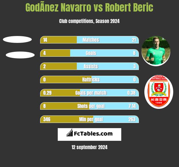 GodÃ­nez Navarro vs Robert Beric h2h player stats