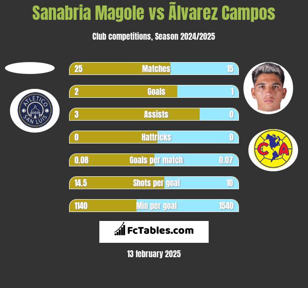 Sanabria Magole vs Ãlvarez Campos h2h player stats