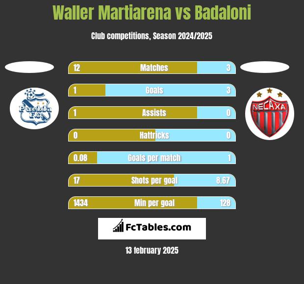 Waller Martiarena vs Badaloni h2h player stats