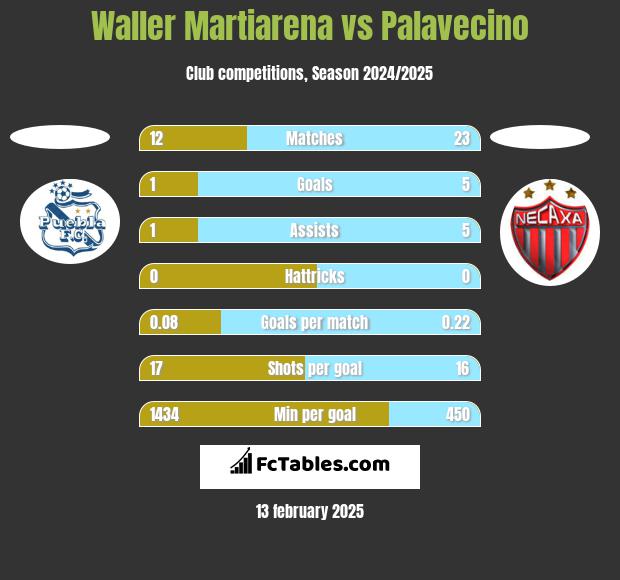 Waller Martiarena vs Palavecino h2h player stats