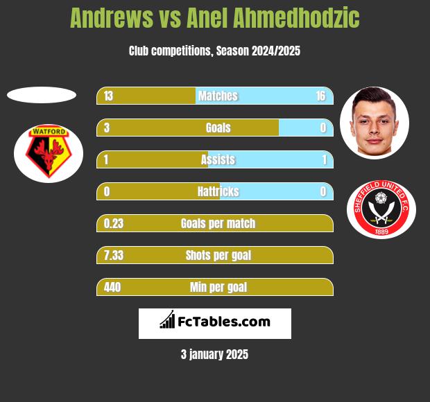 Andrews vs Anel Ahmedhodzic h2h player stats