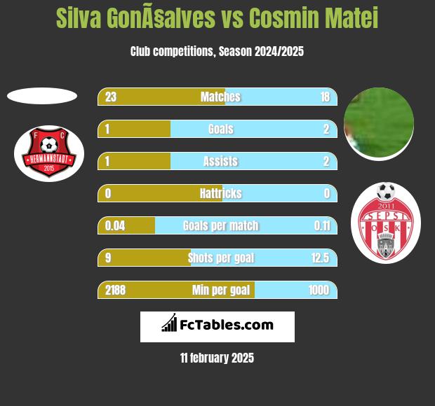 Silva GonÃ§alves vs Cosmin Matei h2h player stats