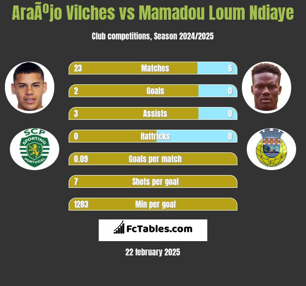 AraÃºjo Vilches vs Mamadou Loum Ndiaye h2h player stats