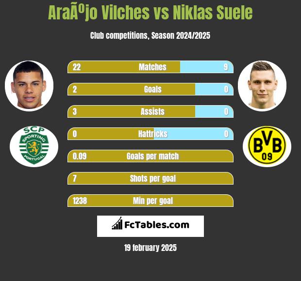 AraÃºjo Vilches vs Niklas Suele h2h player stats