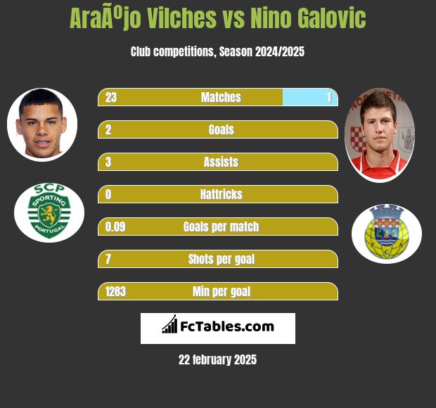 AraÃºjo Vilches vs Nino Galovic h2h player stats