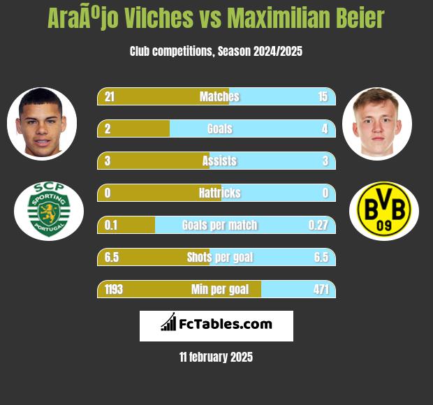 AraÃºjo Vilches vs Maximilian Beier h2h player stats