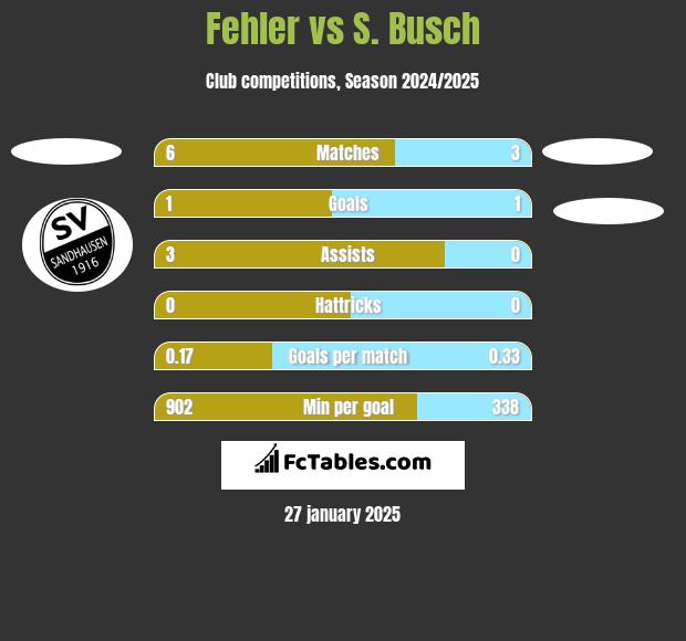 Fehler vs S. Busch h2h player stats