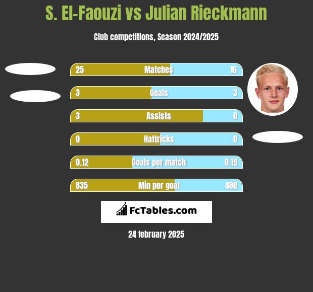 S. El-Faouzi vs Julian Rieckmann h2h player stats