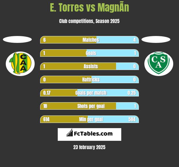 E. Torres vs MagnÃ­n h2h player stats