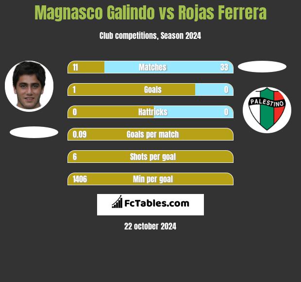 Magnasco Galindo vs Rojas Ferrera h2h player stats