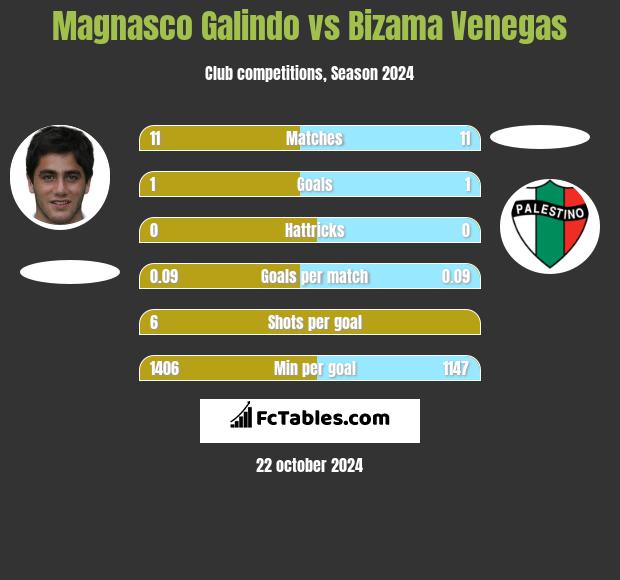 Magnasco Galindo vs Bizama Venegas h2h player stats