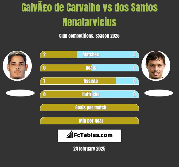 GalvÃ£o de Carvalho vs dos Santos Nenatarvicius h2h player stats